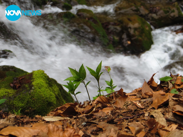 Водопад Скока