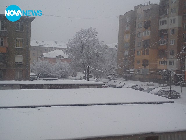 Сняг в Перник