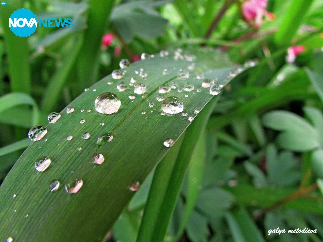 Дъждовни диаманти