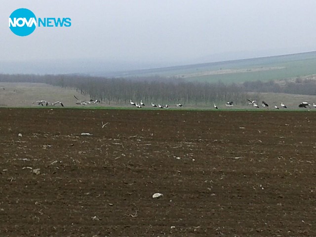 Пролетта е дошла