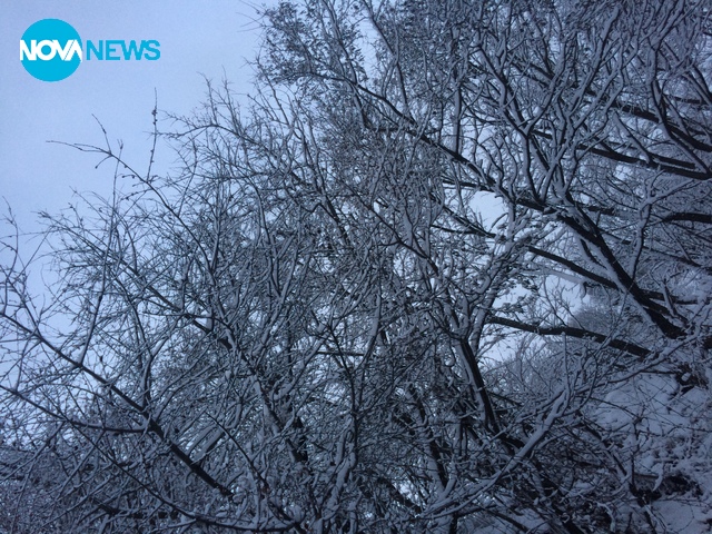 Село Вишнево