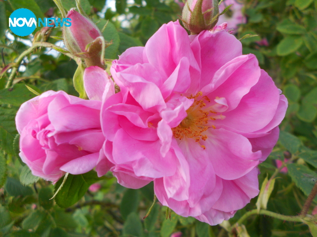 Прекрасен празничен ден!