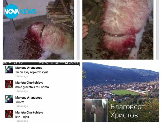 Насилието над животни