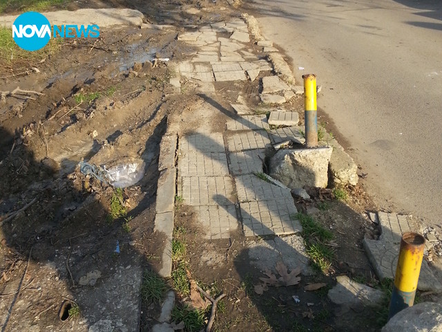 Неправилно паркиране съсипва тротоари и градинки в София