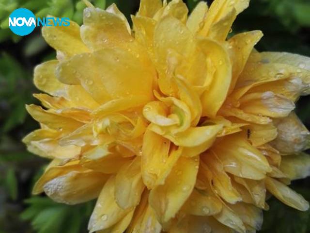 Прекрасно утро