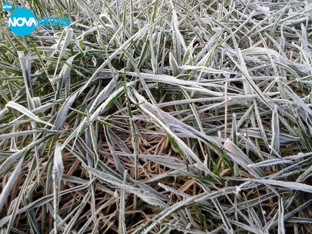 Мартенска слана!