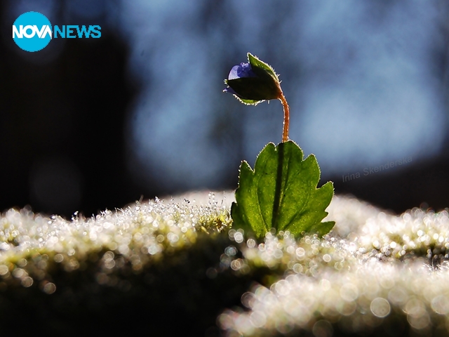 Утро през месец март
