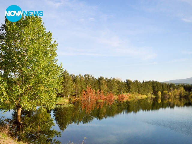 И природата може да рисува