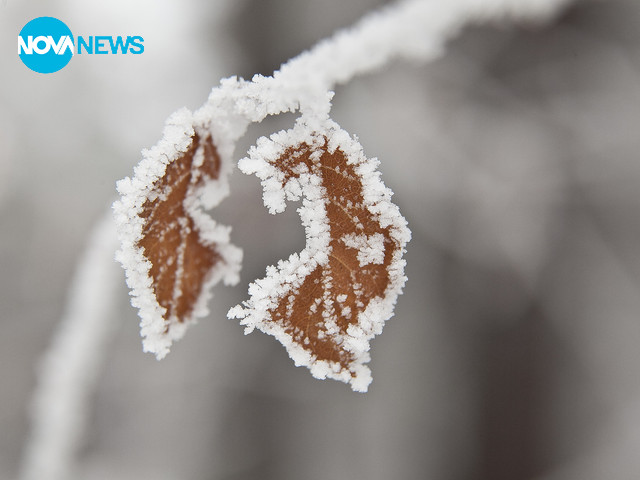 Снежни красоти-2