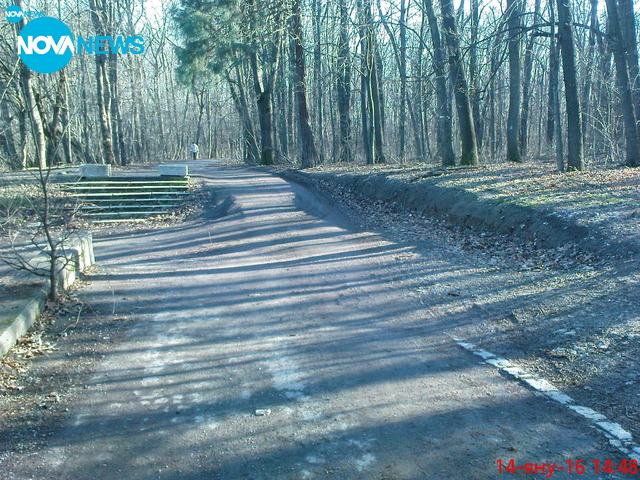 Незаконно строителство в Борисовата градина