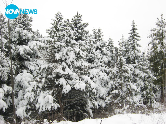 Като в приказка