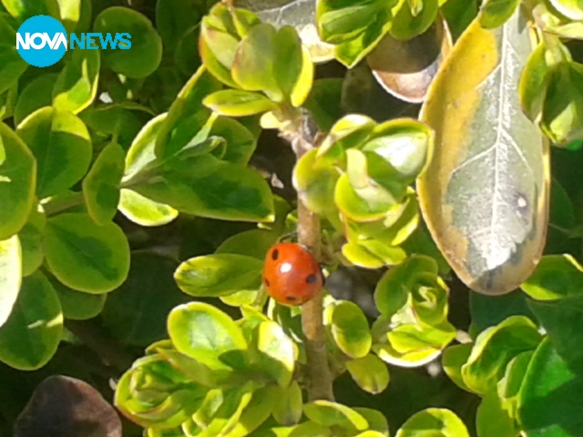 Пролетен ден