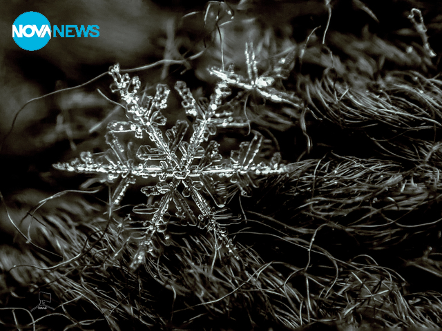 Преди да се стопи