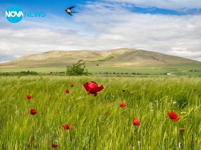 Майско време през уикенда