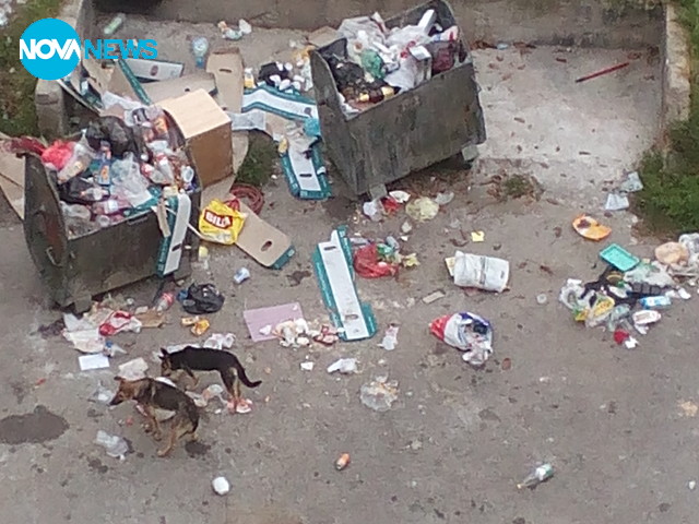 Боклуци в Перник