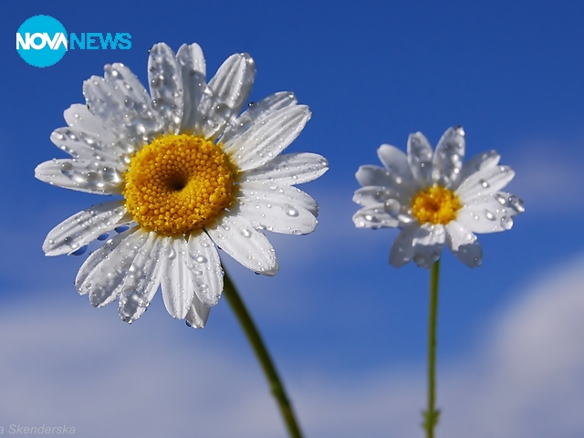 За прогнозата на времето - 5