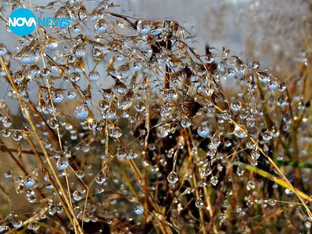 Дъждовното време