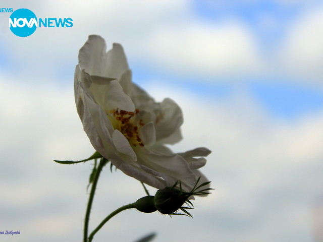 Полет в облаците...