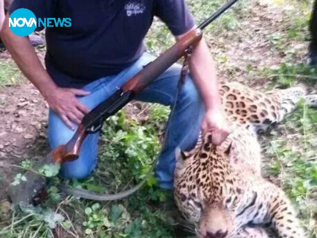 Ловецът застрелял ягуара Алонсо