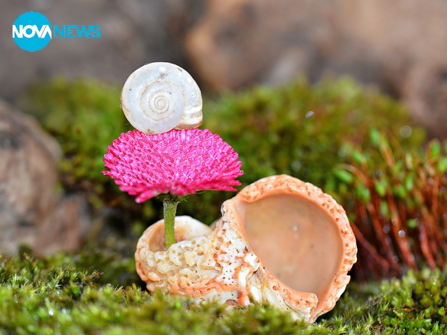 Нежни и красиви снимки за "Прогноза за времето"