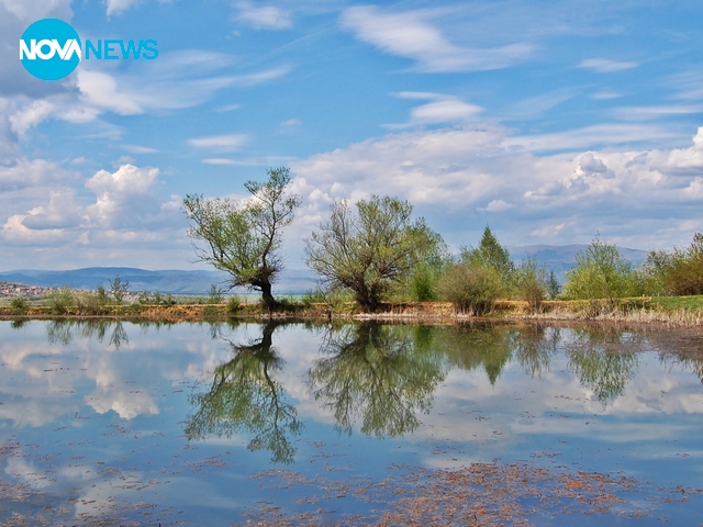 Когато природата рисува