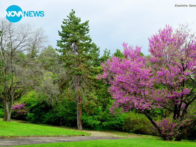 Пролет в парка