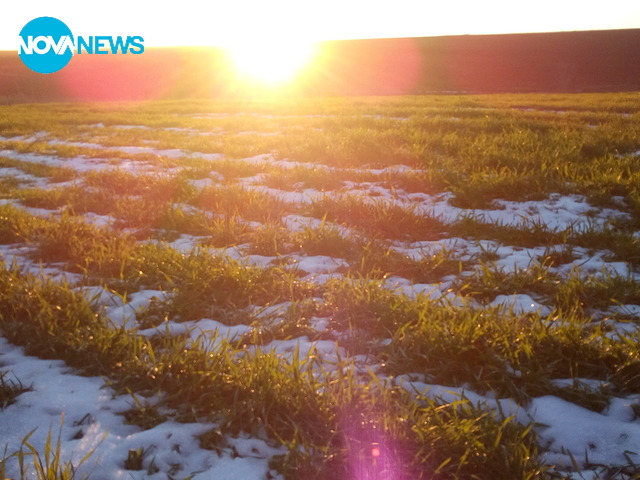 Полето тази сутрин!