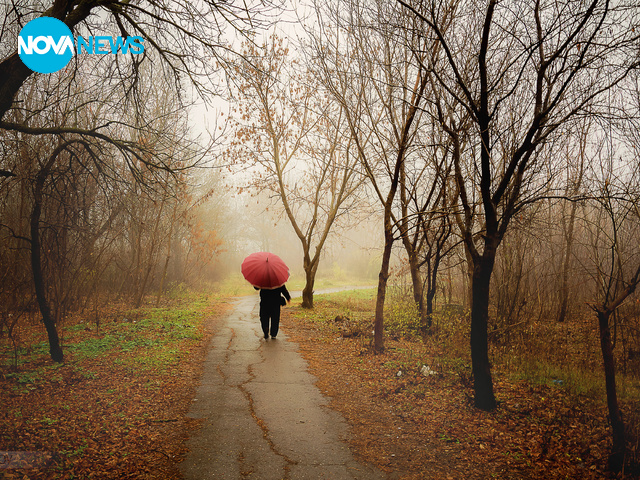 Разходка в мъглата