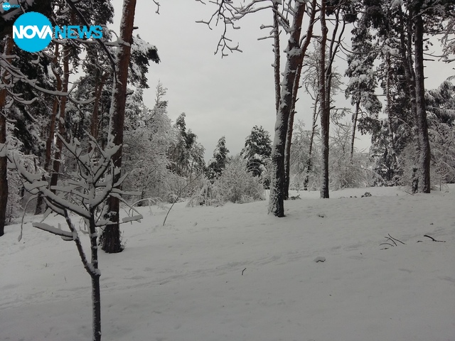 Зимна приказка в Казанлък