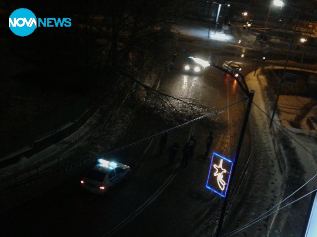 Паднали дървета на пътя гр. Монтана