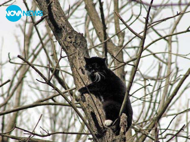 Пострадал човек заради безхаберието на институциите