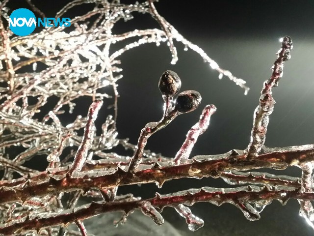 Проходът Витиня