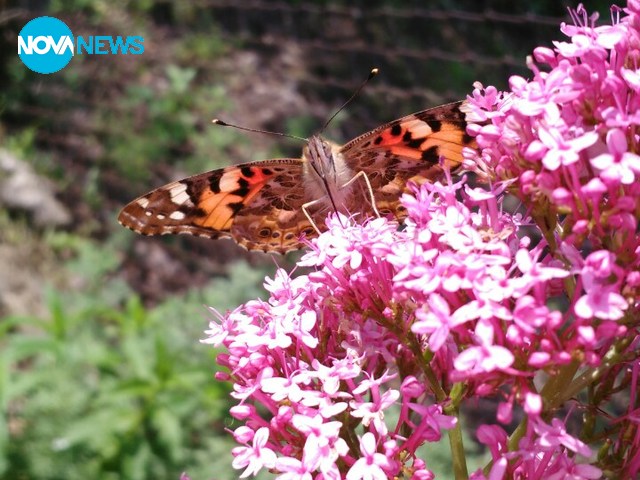 Пролетта се завръща