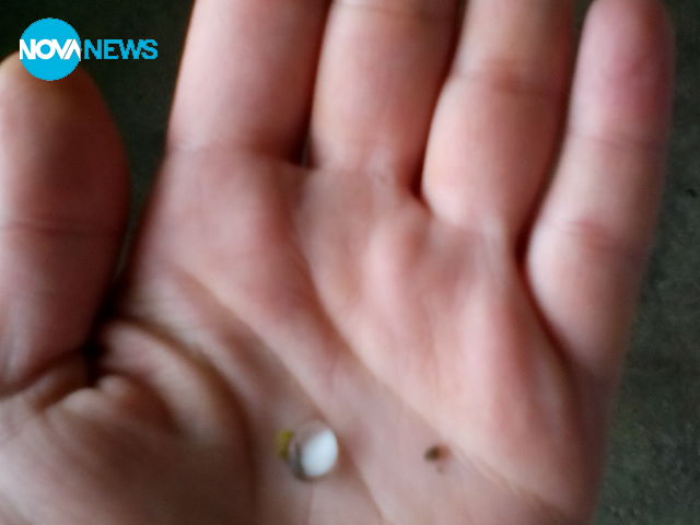 Градушка в град Лом