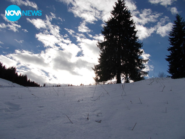 Зима в Родопите