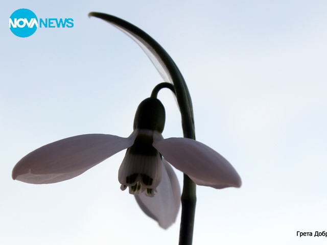 Усещане за пролет