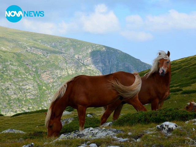 Успешен ден !