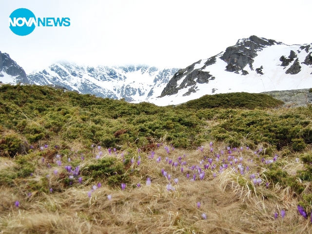 Рила през май