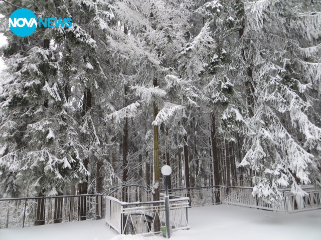 Зимна приказка във Врачанския Балкан