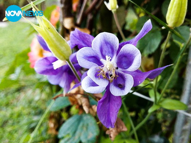 Започва пролетта