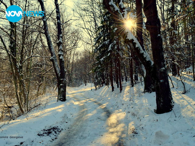 Слънце в зимата