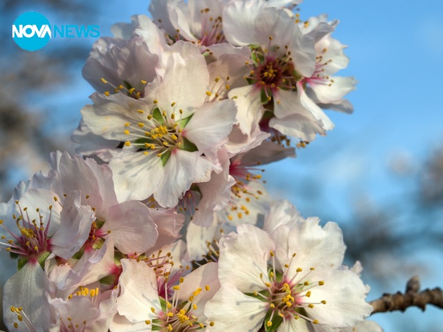 Пролет във Варна