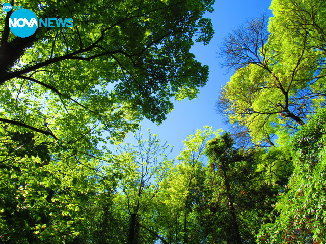 Прекрасна Велика Сряда