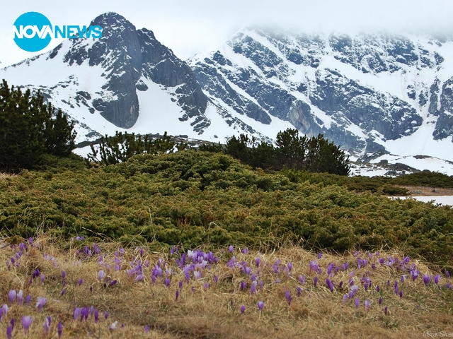 Край Рилските езера