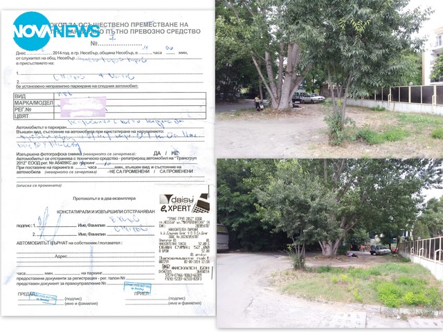 Безобразията на паяците в Община Несебър