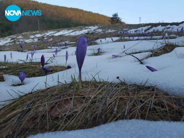 Пролет в Равногор