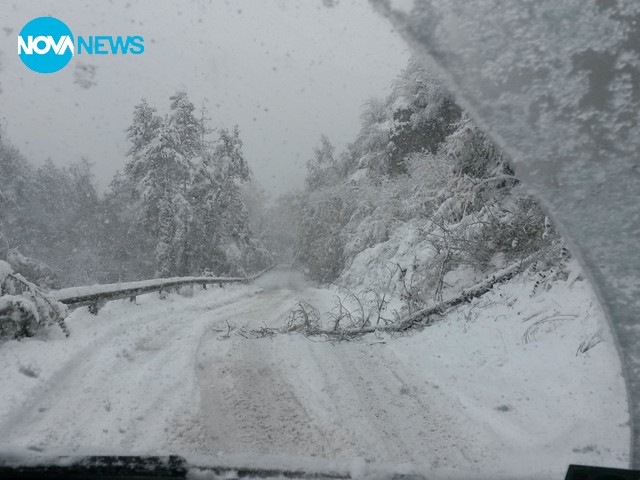 Велико Търново