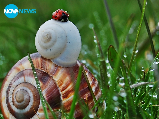 През пролетта всичко е красиво