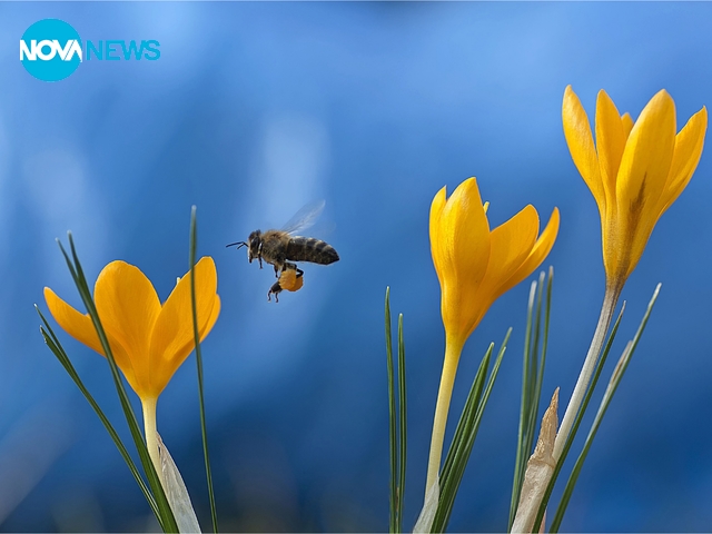 Топлото време днес