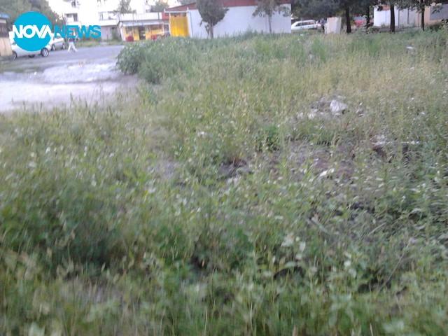 Изоставена детска площадка